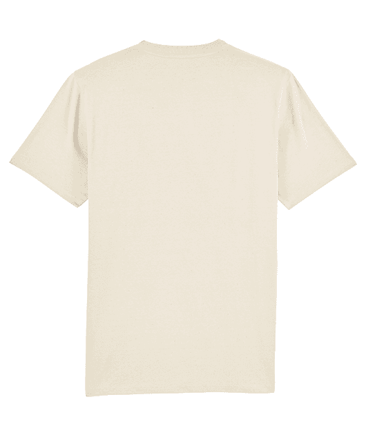 ijssmt role model tee